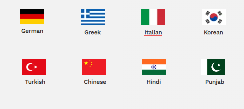 Flags module 3
